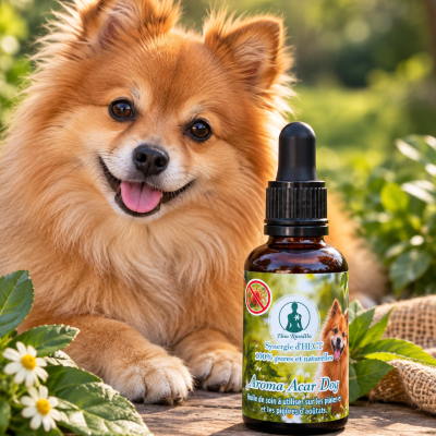 Aroma Acar Dog
